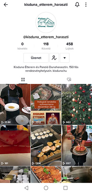 kisduna tiktok 300x626